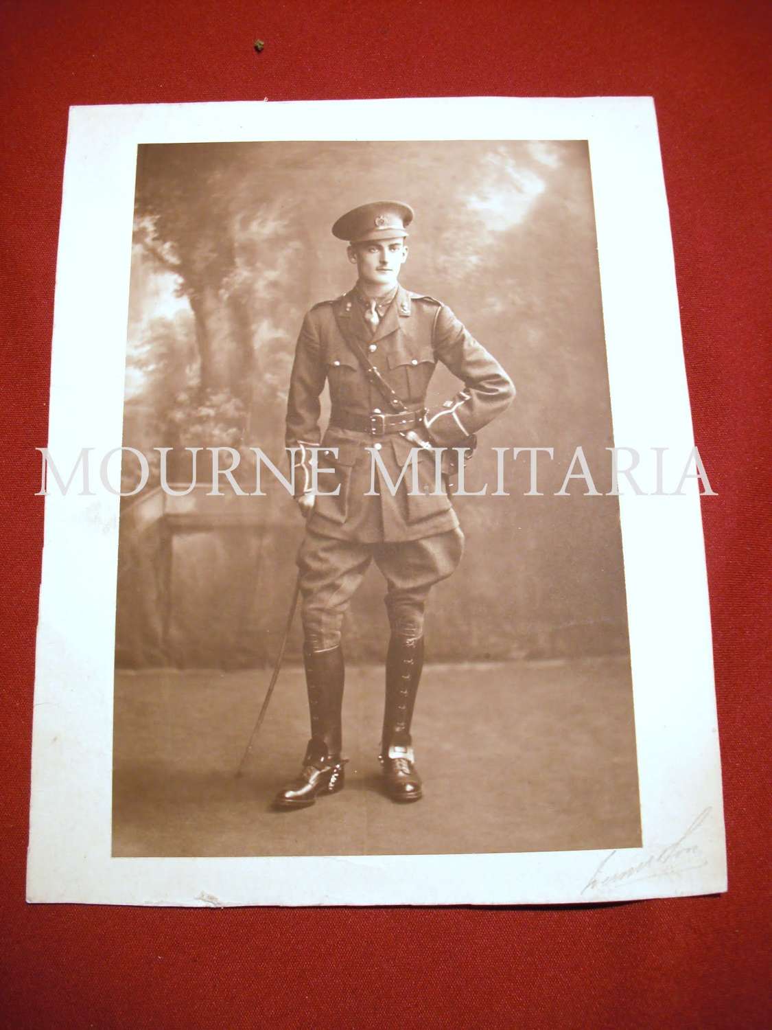 Large Formal Photo of Royal Engineers Officer in Dublin