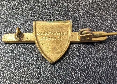 NS Vlasti Zdar Czech Fascist Party Brooch.