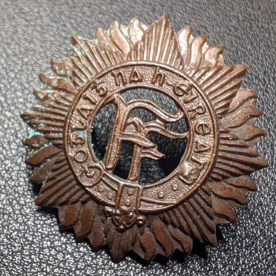 Irish Defence Force Small Cap Badge