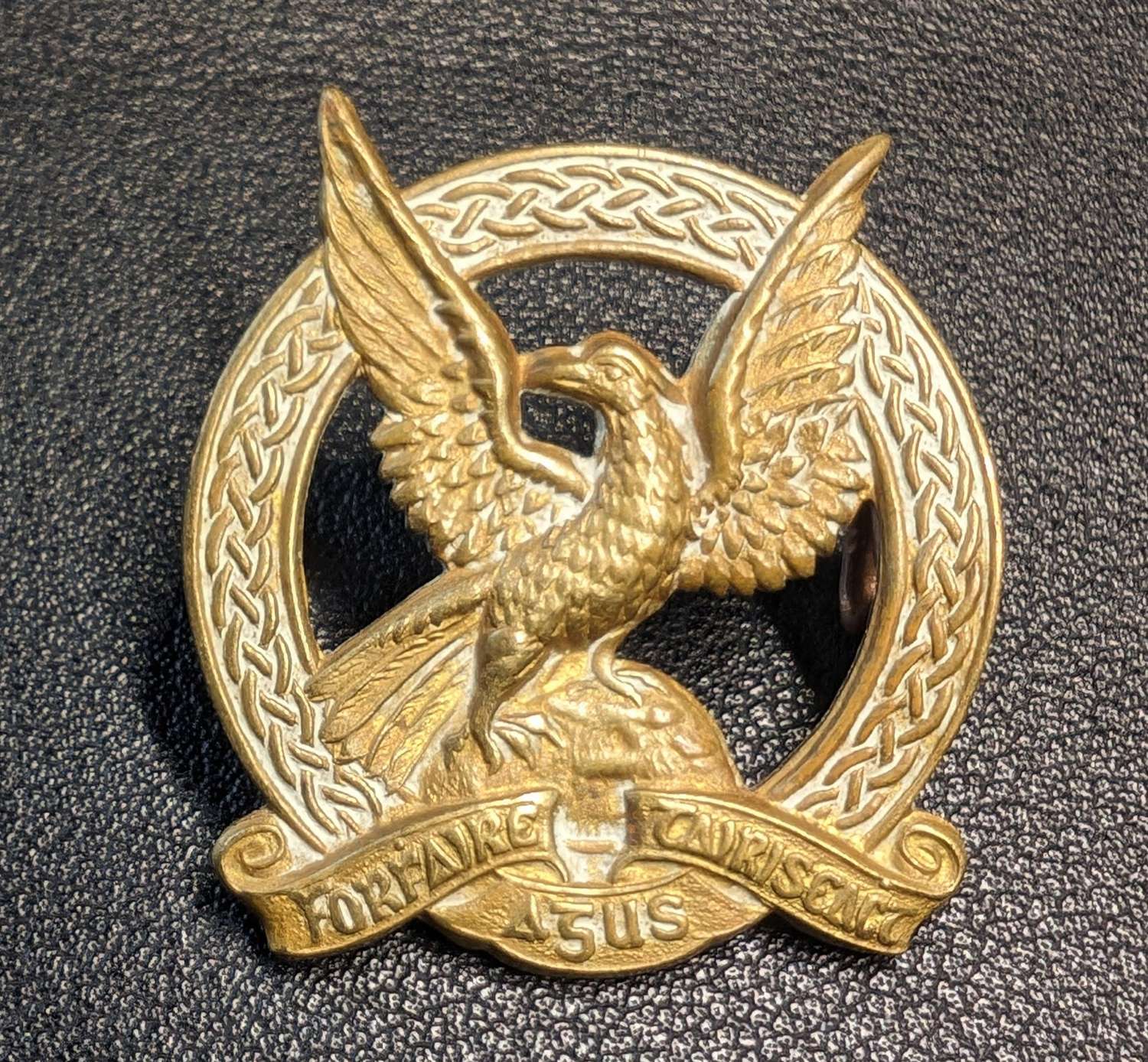 Irish Air Corp Collar Badge
