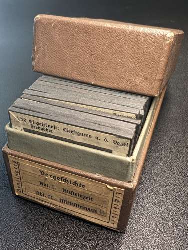 Historically Important Glass Slides Relating to Theodor Benzinger